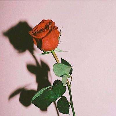 斗牛游戏大厅下载手机版