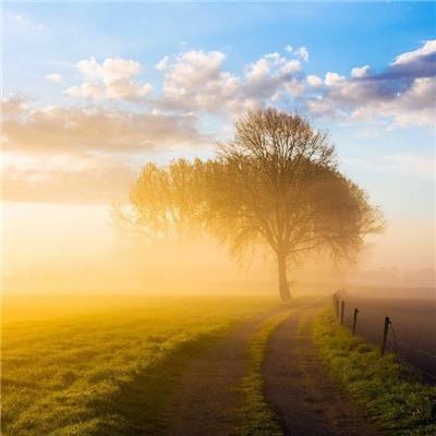 开元棋下载app官方版截图